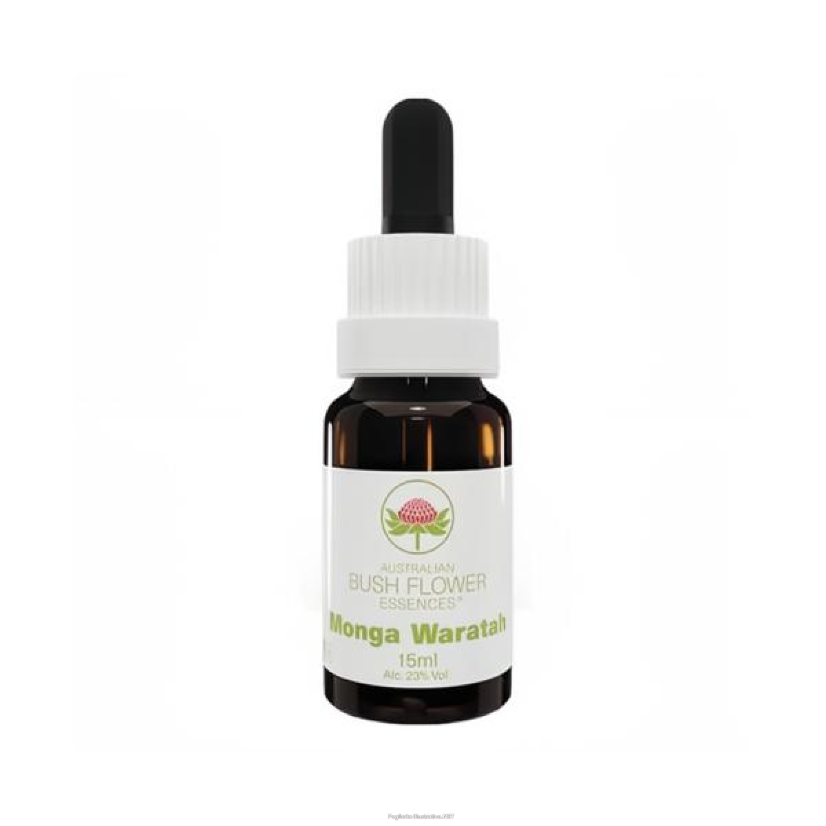Cerca Offerte di abund spr ess 30ml 4805 e acquista online