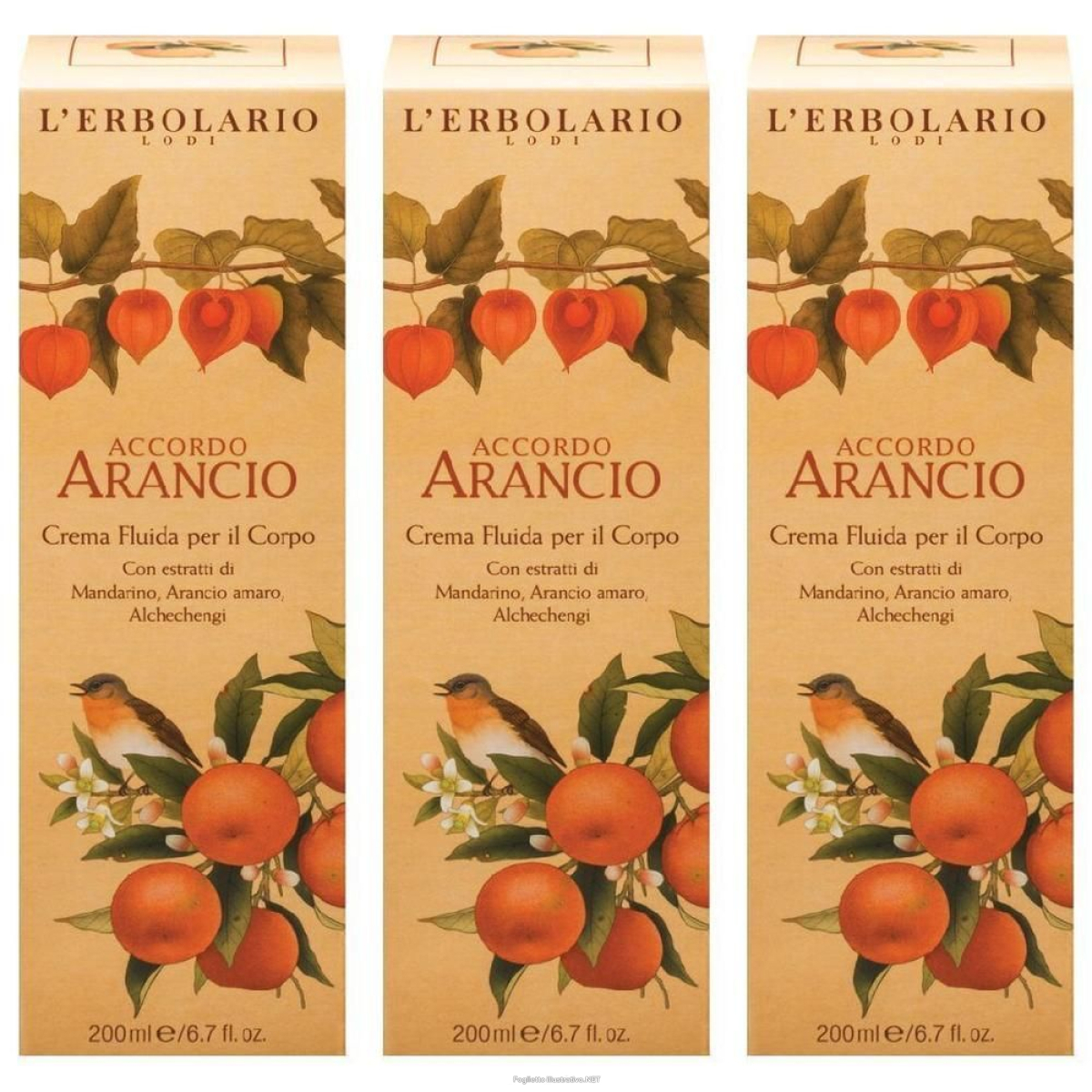 Cerca Offerte di accordo arancio crema fluida per il corpo 200 ml 3x200 ml e acquista online