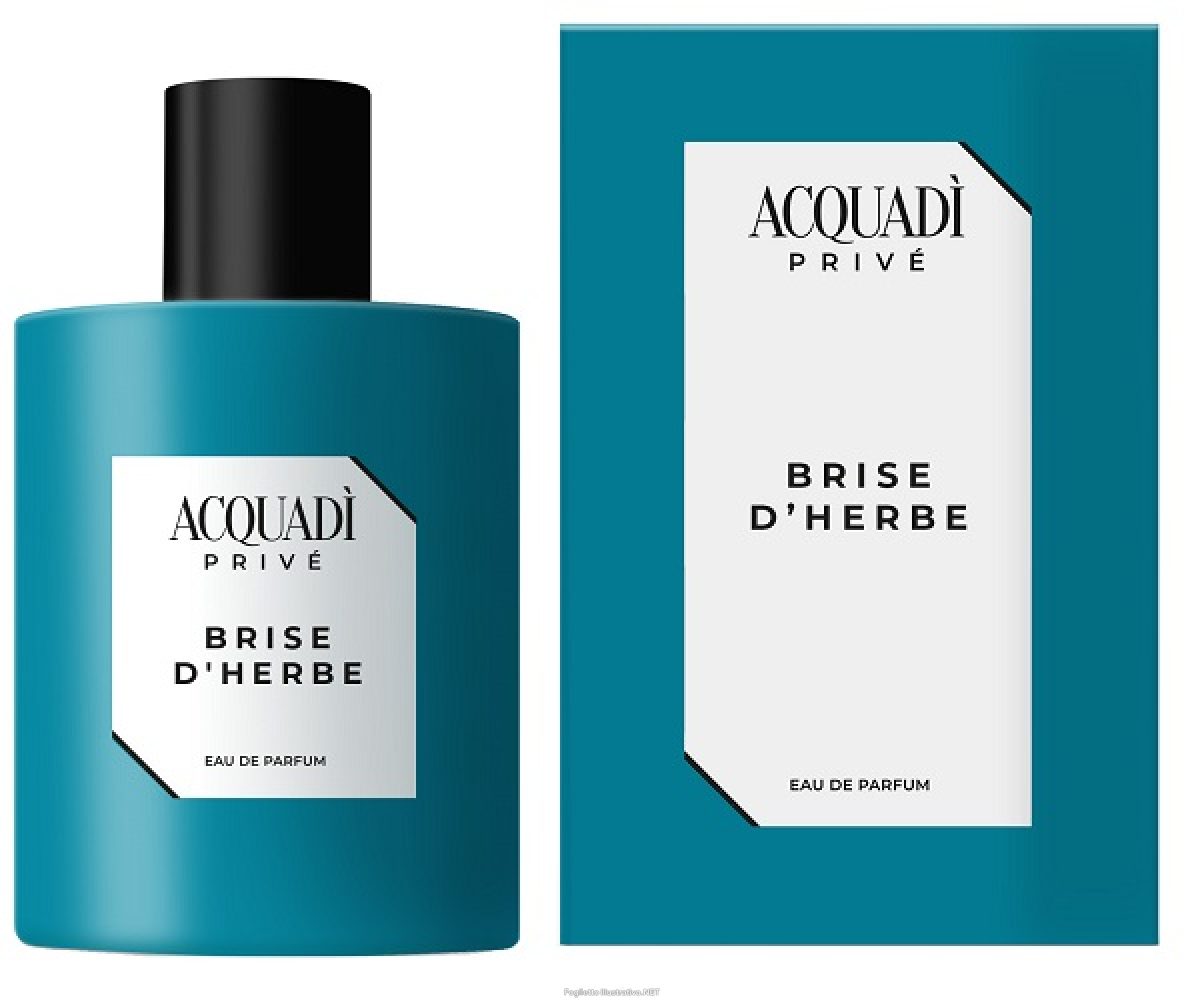 Cerca Offerte di acq prive brise herbe edp 100ml e acquista online