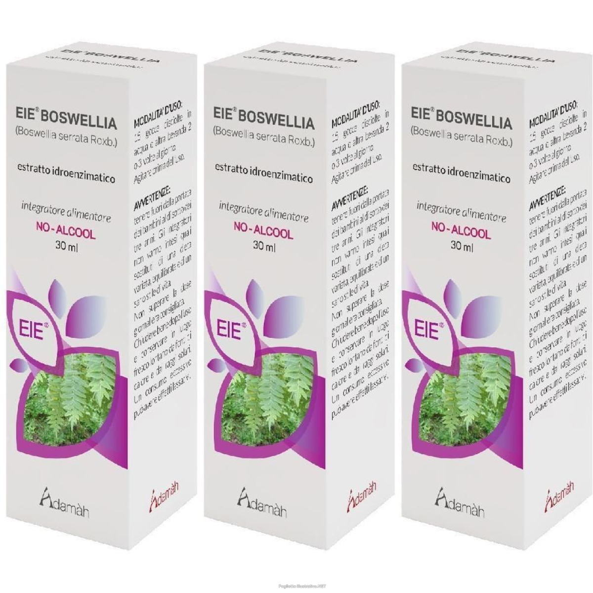 Cerca Offerte di adamàh eie boswellia gocce 3x30 ml orali e acquista online