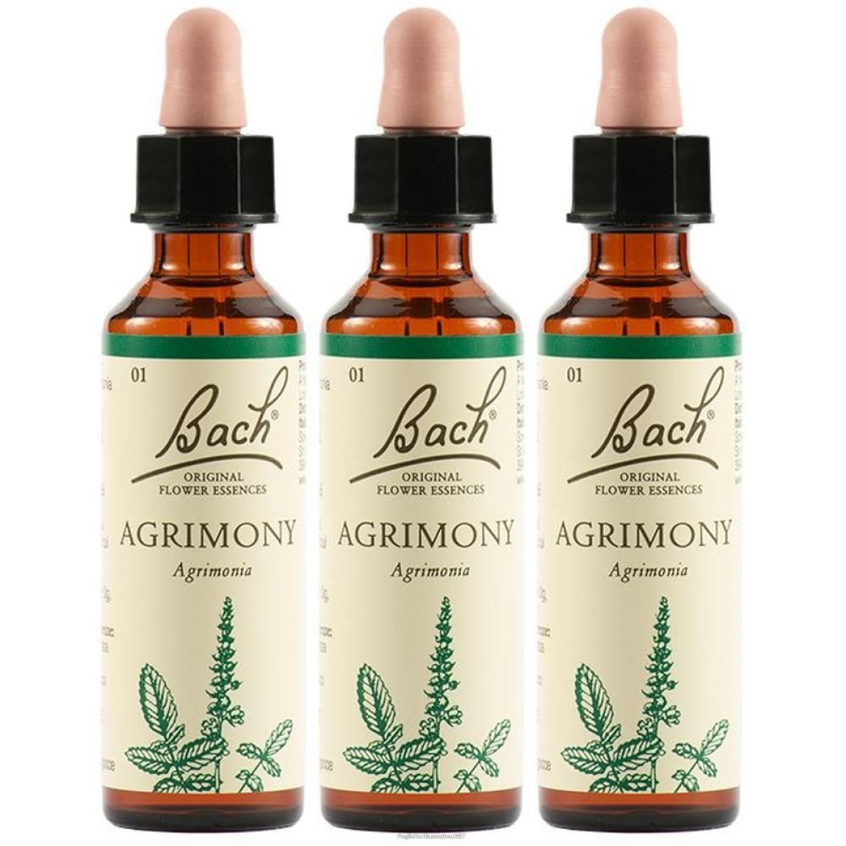 Cerca Offerte di agrimony bach orig 20ml 3x20 ml gocce orali e acquista online