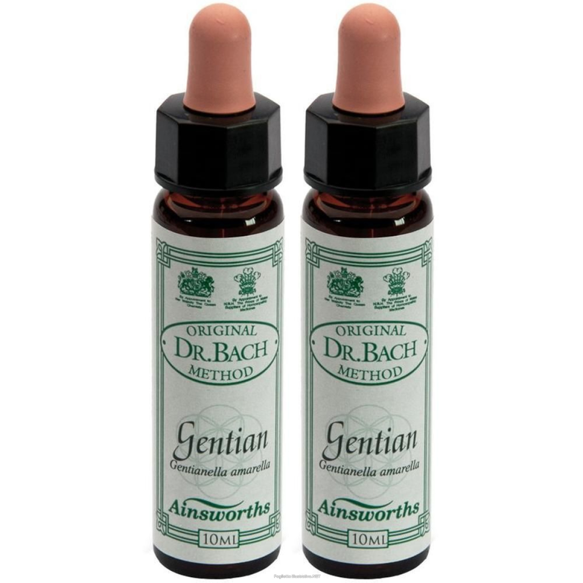 Cerca Offerte di ainsworths dr.bach n°12 gentian gentianella amarella 2x10 ml e acquista online