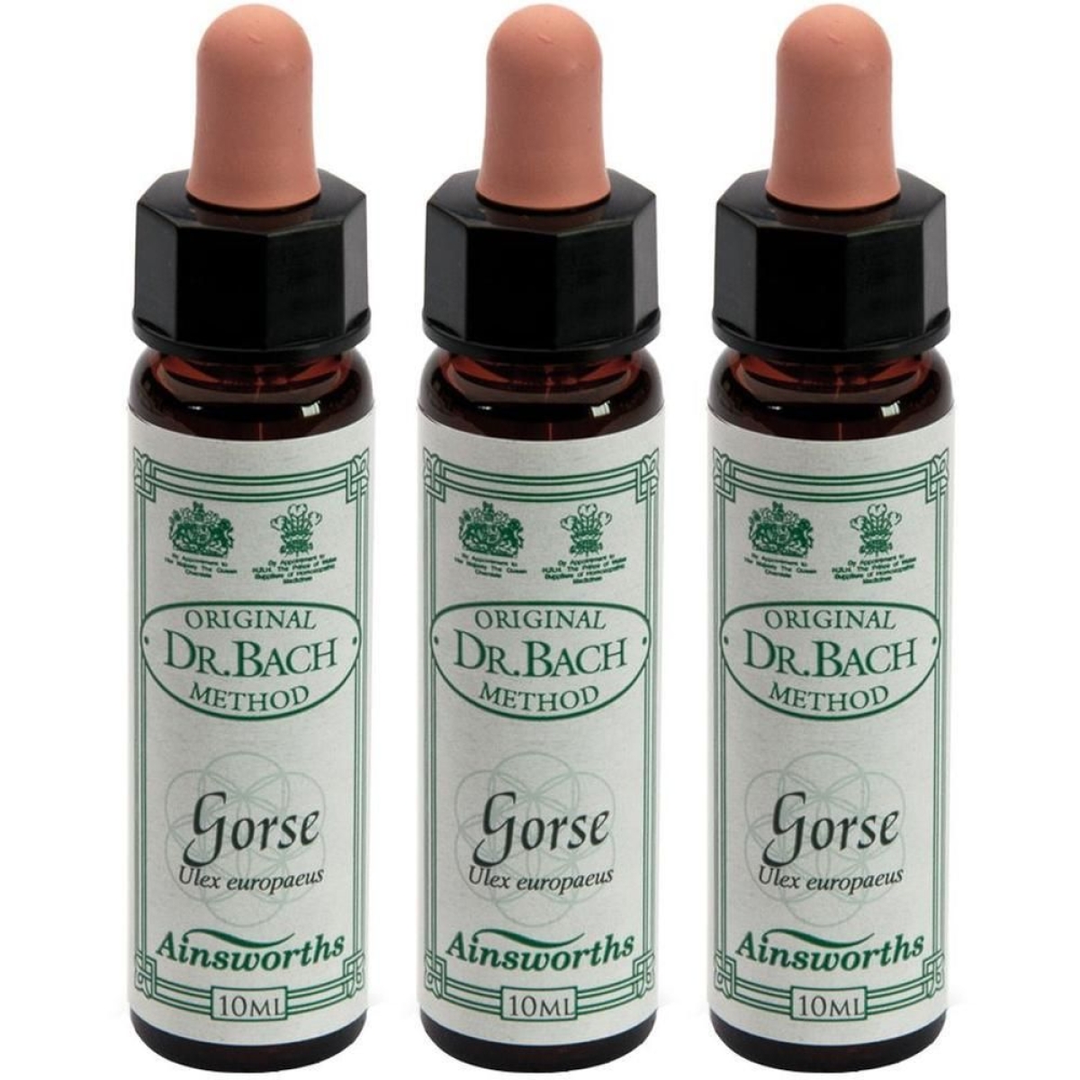 Cerca Offerte di Ainsworths dr.bach n°13 gorse ulex europaeus 3x10 ml e acquista online