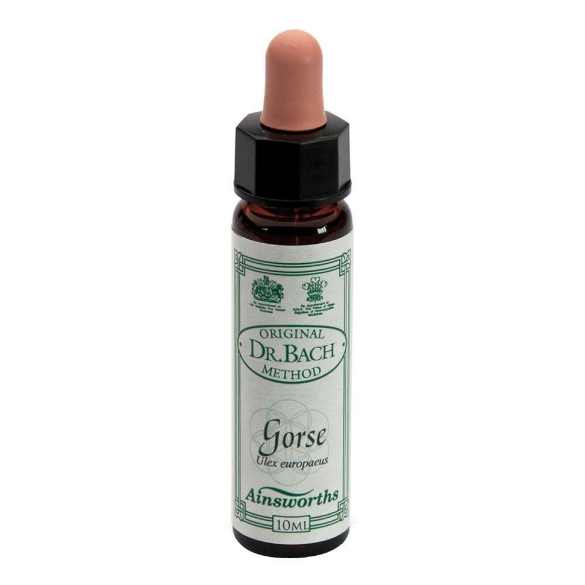 Cerca Offerte di Ainsworths dr.bach n°13 gorse ulex europaeus 4x10 ml e acquista online