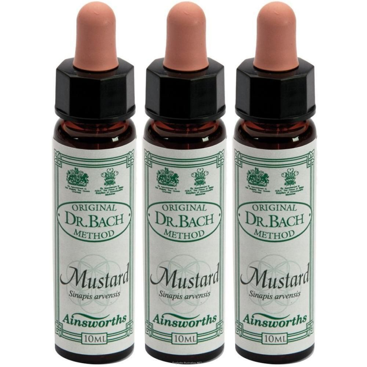 Cerca Offerte di ainsworths dr.bach n°21 mustard sinapis arvensis 3x10 ml e acquista online
