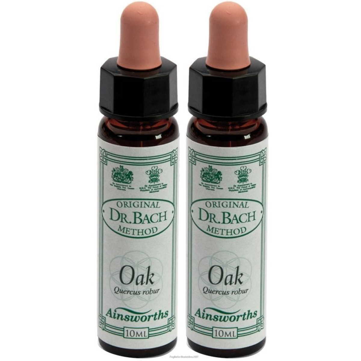 Cerca Offerte di ainsworths dr.bach n°22 oak quercus robur 2x10 ml e acquista online