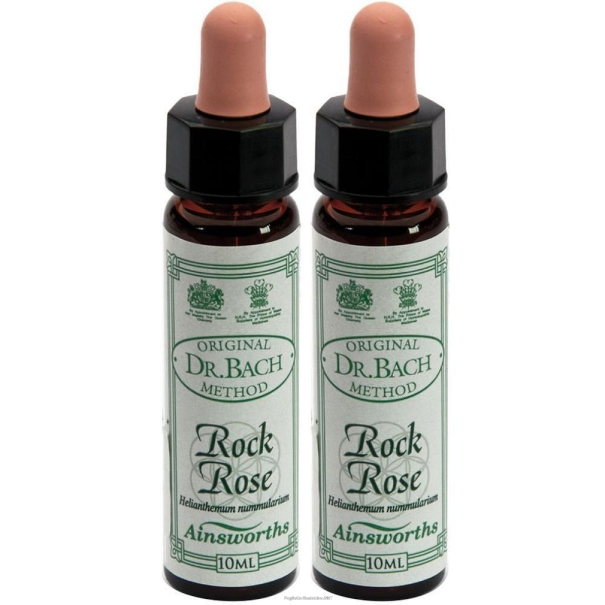 Cerca Offerte di ainsworths dr.bach n°26 rock rose helianthemum nummularium 2x10 ml e acquista online