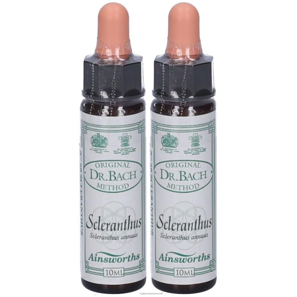 Cerca Offerte di ainsworths dr.bach n°28 scleranthus annuus 2x10 ml e acquista online