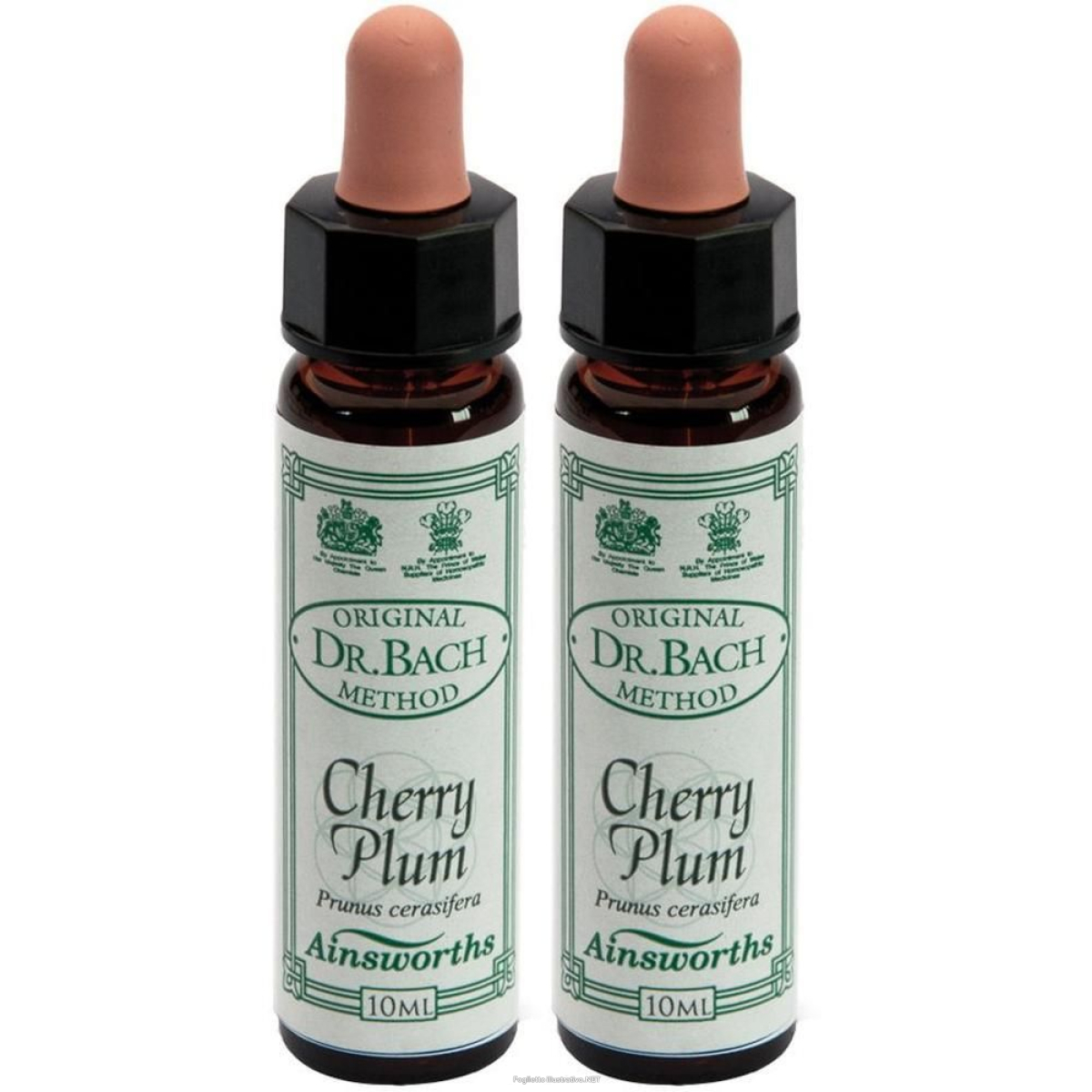 Cerca Offerte di ainsworths dr.bach n°6 cherry plum prunus cerasifera 2x10 ml e acquista online