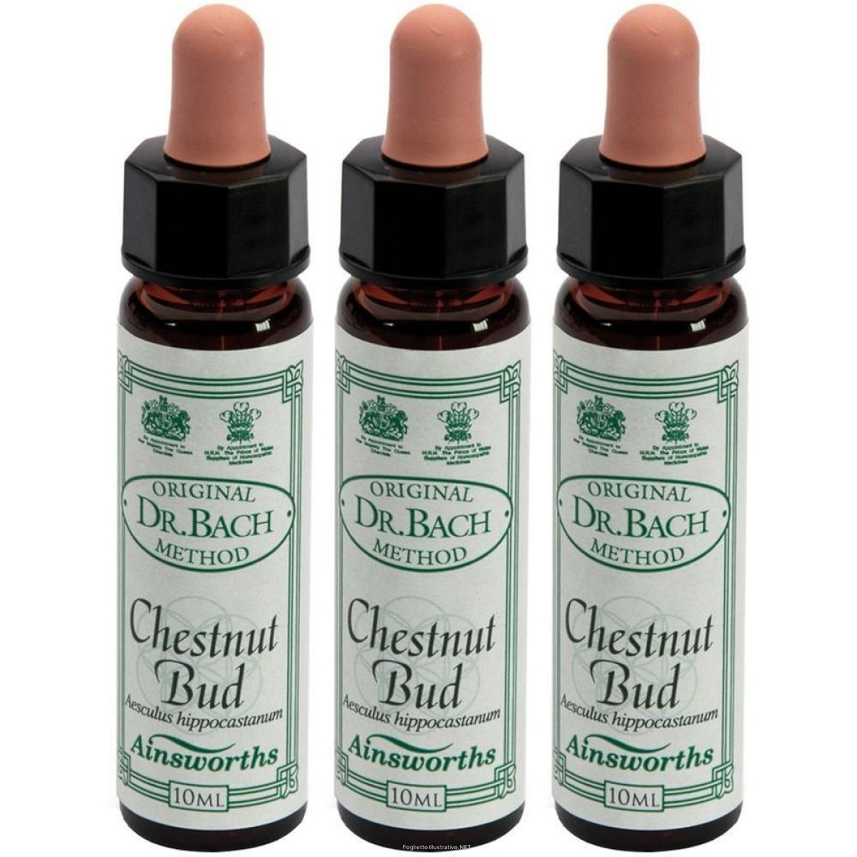 Cerca Offerte di ainsworths dr.bach n°7 chestnut bud aesculus hippocastanum 3x10 ml e acquista online