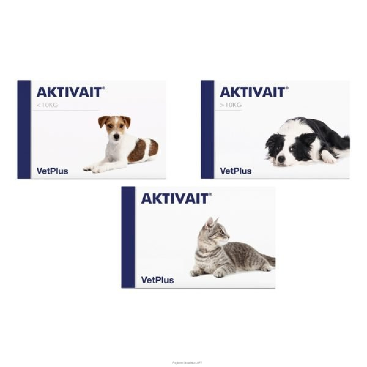 Cerca Offerte di aktivait for cats 60 capsule e acquista online