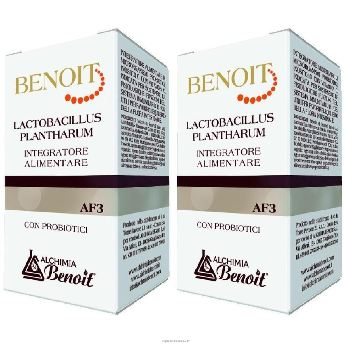 Cerca Offerte di alchemia benoit lactobacillus plantharum capsule 2x30 pz e acquista online