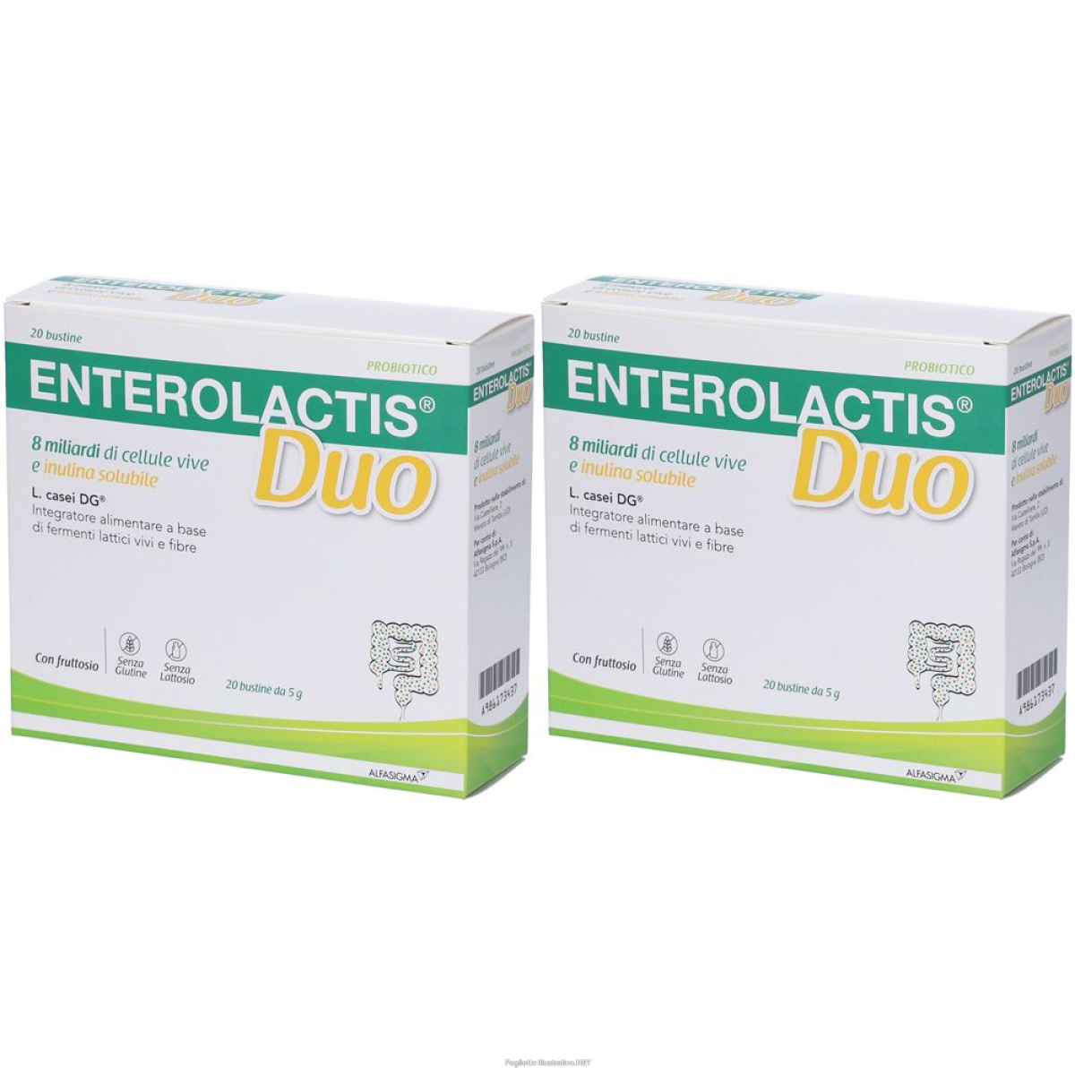 Cerca Offerte di alfasigma enterolactis duo bustine set da 2 2x100 g polvere per soluzi e acquista online