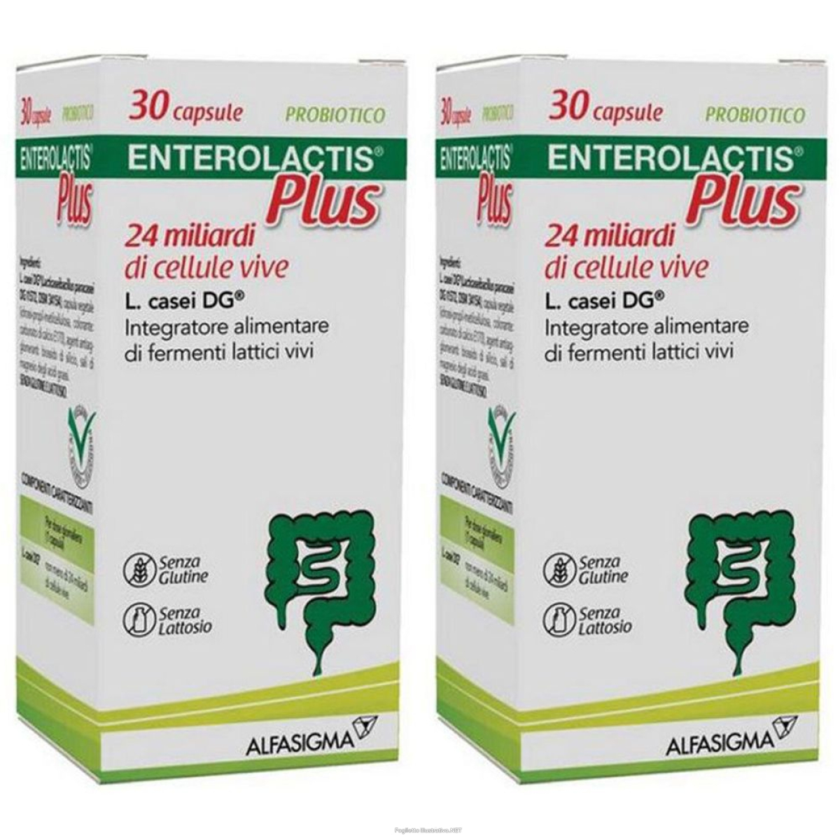 Cerca Offerte di alfasigma enterolactis plus capsule 30 set da 2 2x9,6 g capsul e acquista online