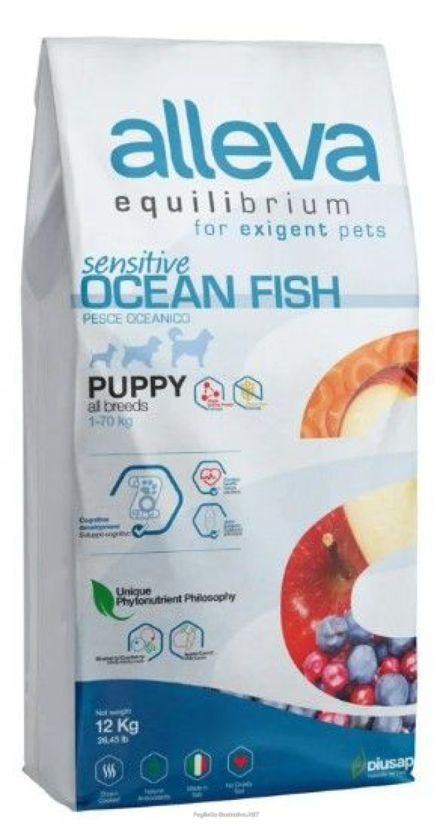 Cerca Offerte di alleva equilibrium dog sensitive ocean fish puppy all breeds kg 12 - p6005 e acquista online
