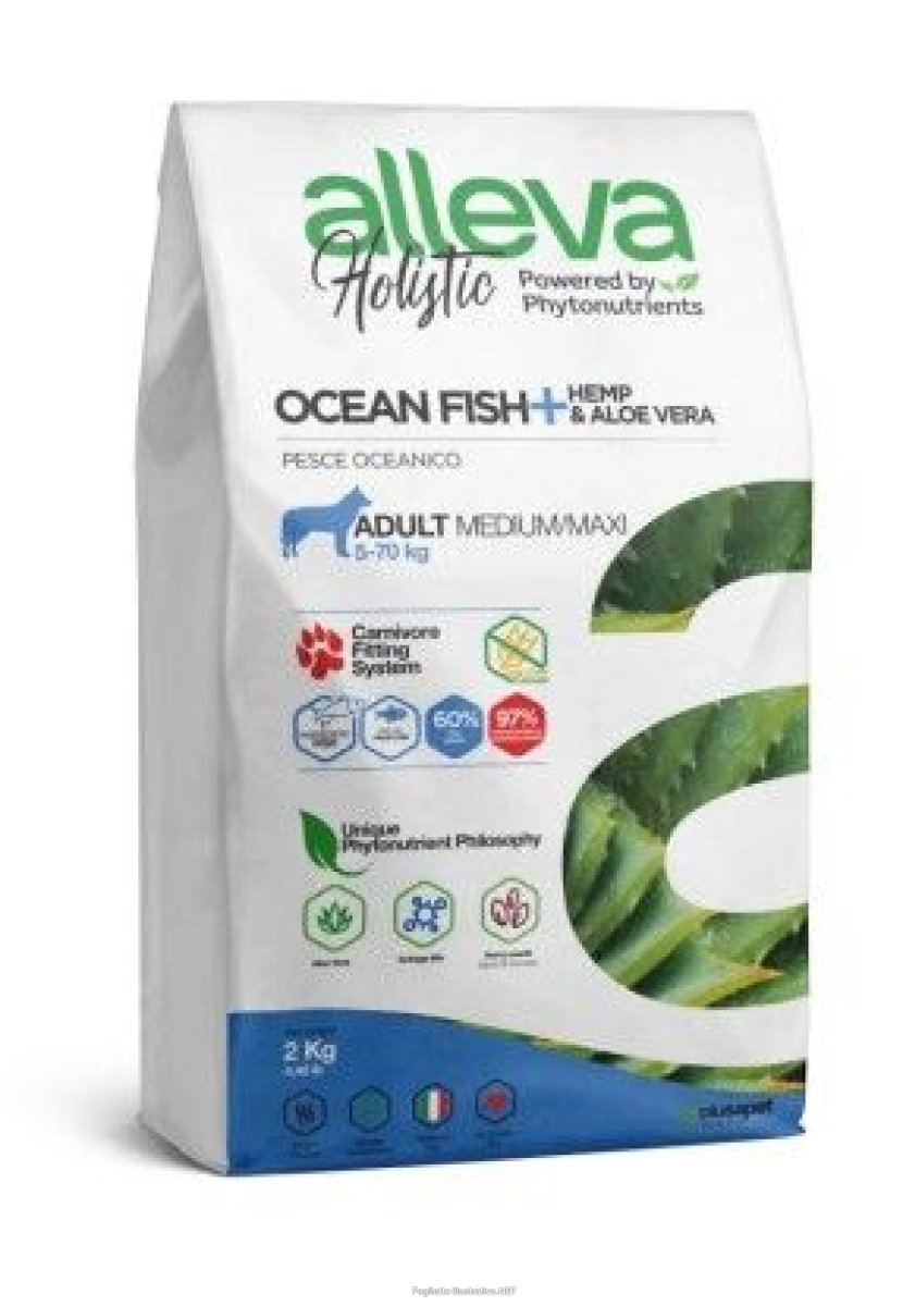 Cerca Offerte di alleva holistic dog adult ocean fish medium/maxi kg 2 - p00233 e acquista online