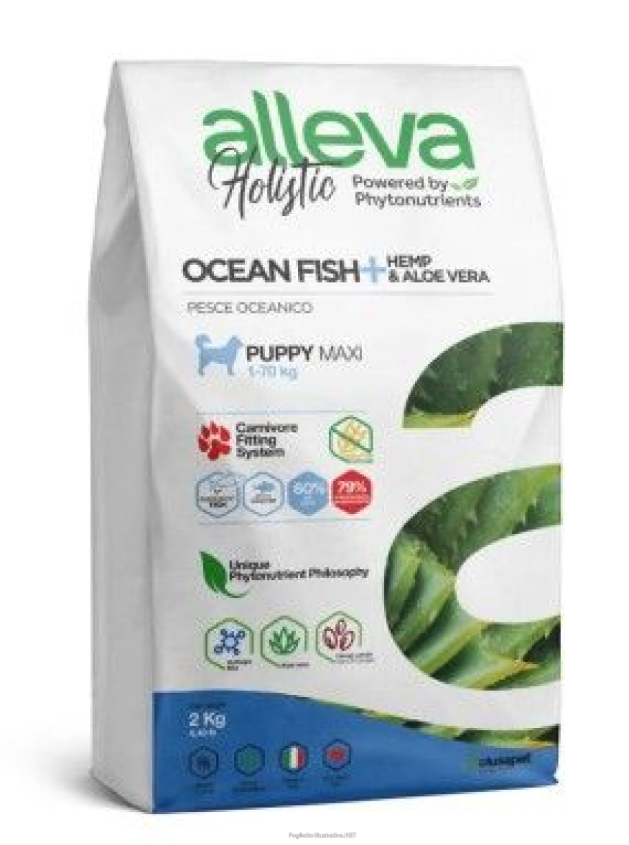 Cerca Offerte di alleva holistic dog puppy/junior fish maxi kg 2 - p00228 e acquista online