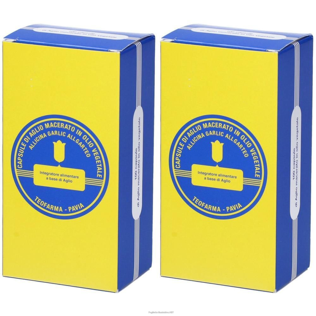 Cerca Offerte di allicina garlic capsule 2x100 pz e acquista online