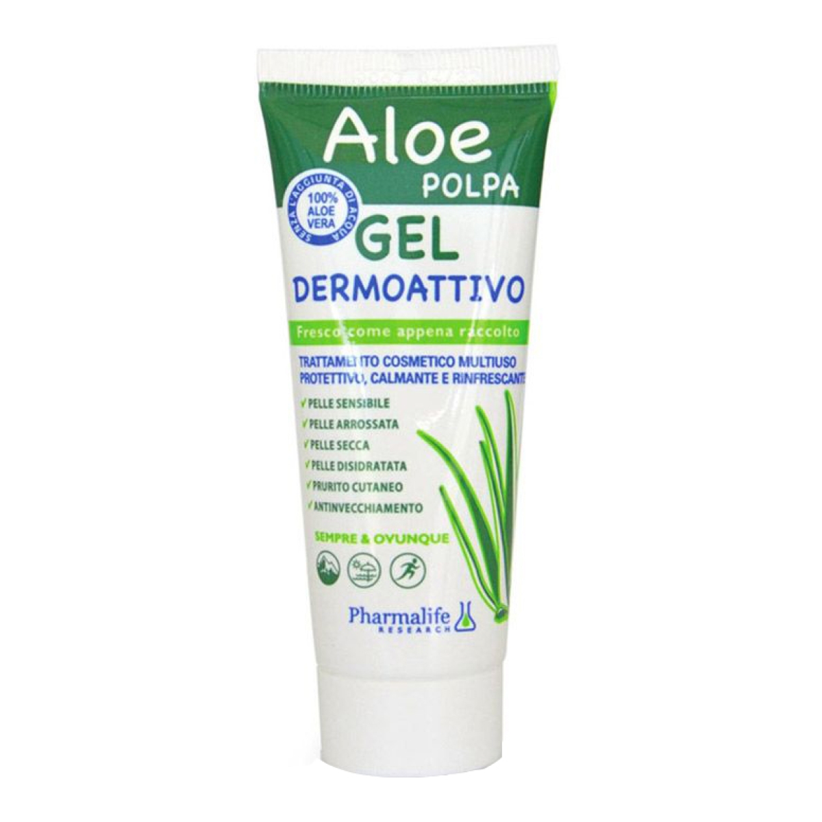 Cerca Offerte di Aloe vera gel concentrato milleusi 100 ml e acquista online
