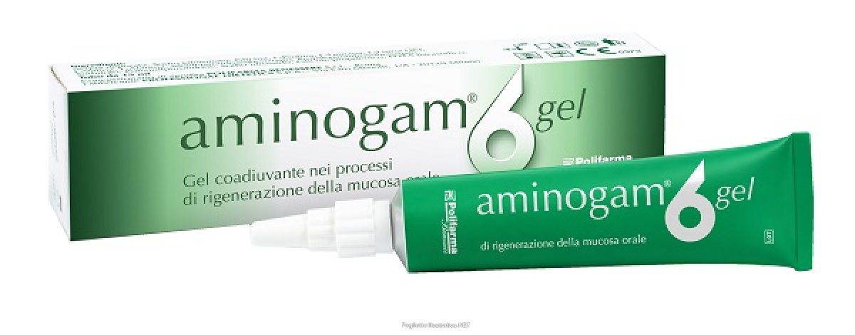 Cerca Offerte di aminogam 6 gel coadiuvante nei processi di rigenerazione dlla mucosa orale 15ml e acquista online