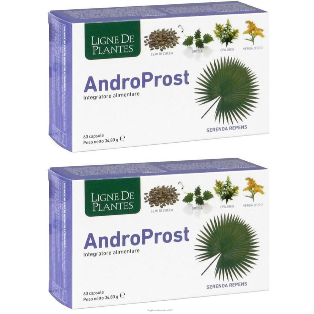 Cerca Offerte di androprost 60 capsule 2x60 pz e acquista online