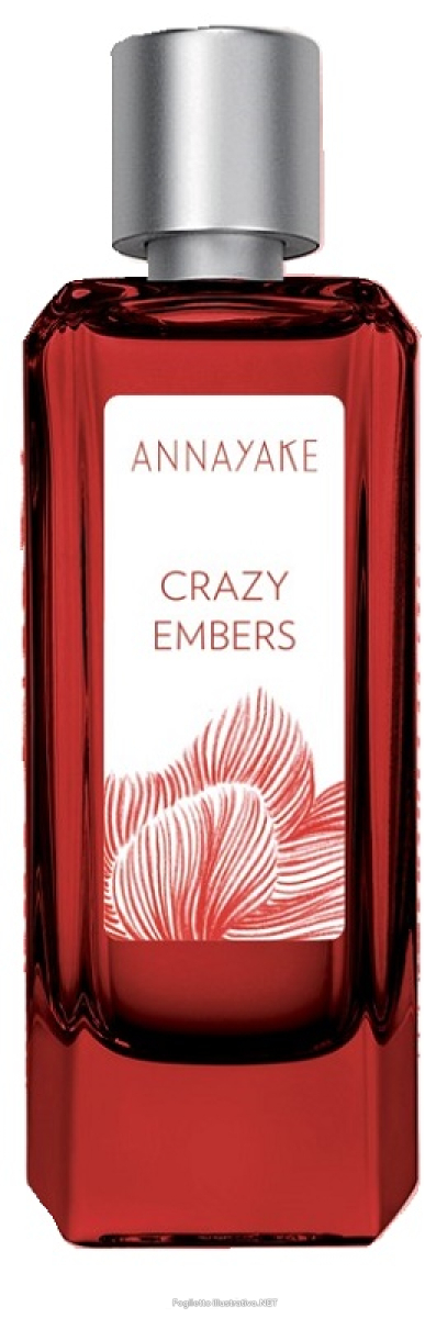 Cerca Offerte di annayake crazy embers edt100ml e acquista online
