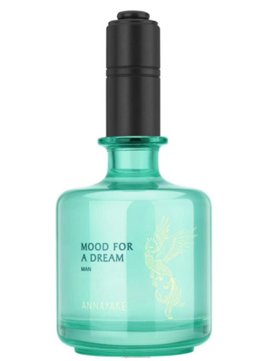 Cerca Offerte di annayake mood for a dream man - eau de toilette uomo 100 ml e acquista online
