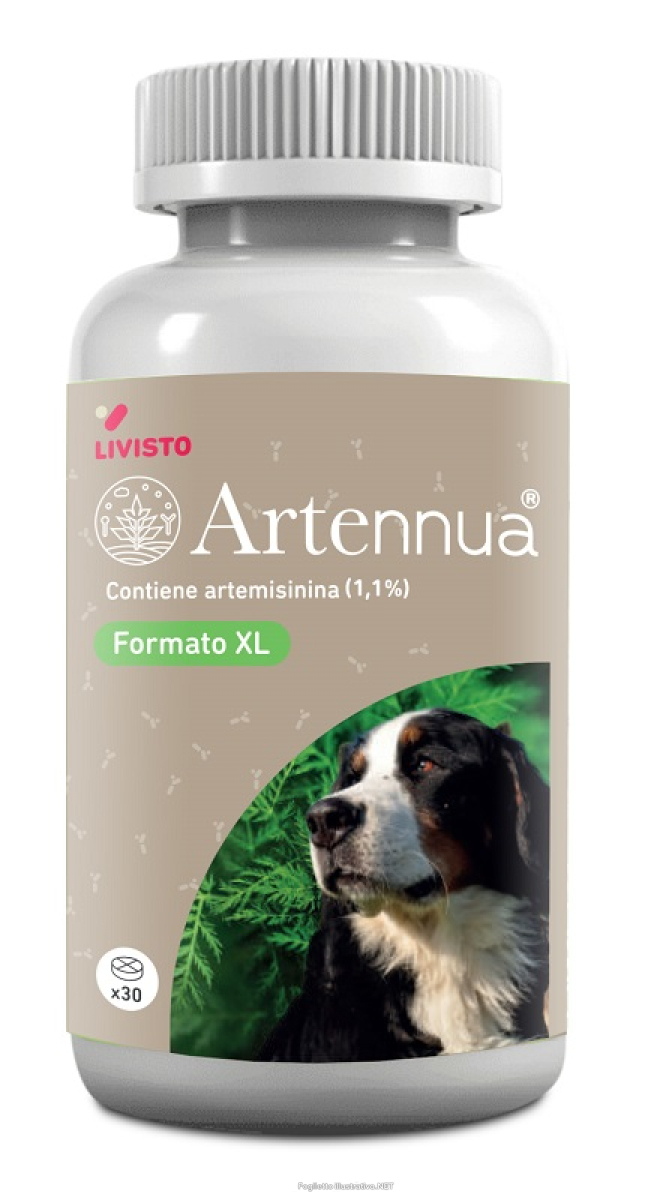 Cerca Offerte di artennua xl 30cpr 990149674 e acquista online