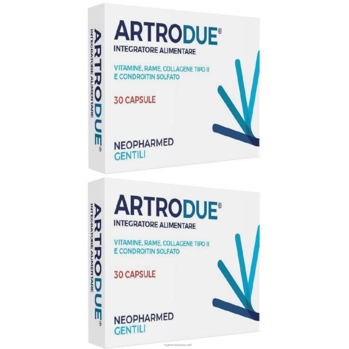 Cerca Offerte di artrodue 30 capsule 0,2 g 2x30 pz e acquista online