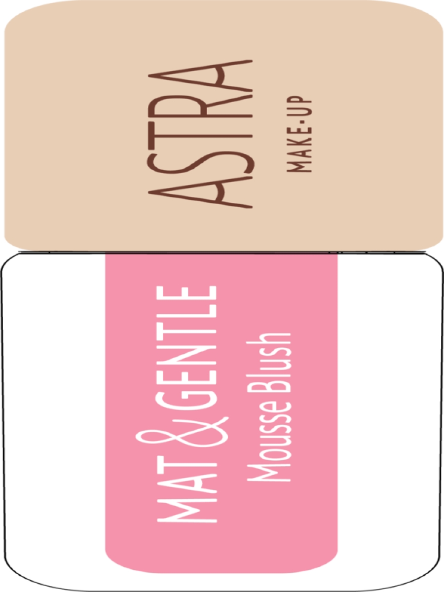 Cerca Offerte di Astra mat & gentle mousse blush 02 1 pz make up e acquista online