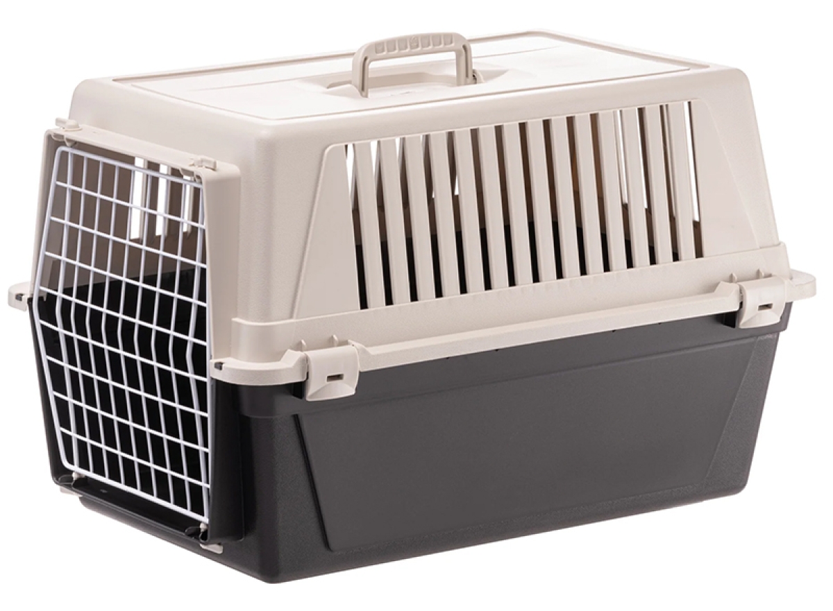Cerca Offerte di Atlas el - trasportino per animali domestici in plastica rigida con porta in ferro taglia 10 e acquista online