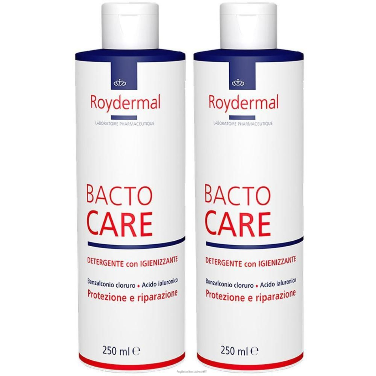 Trova Offerte di bactocare detergente igienizzante 250 ml 2x250 ml e compra online