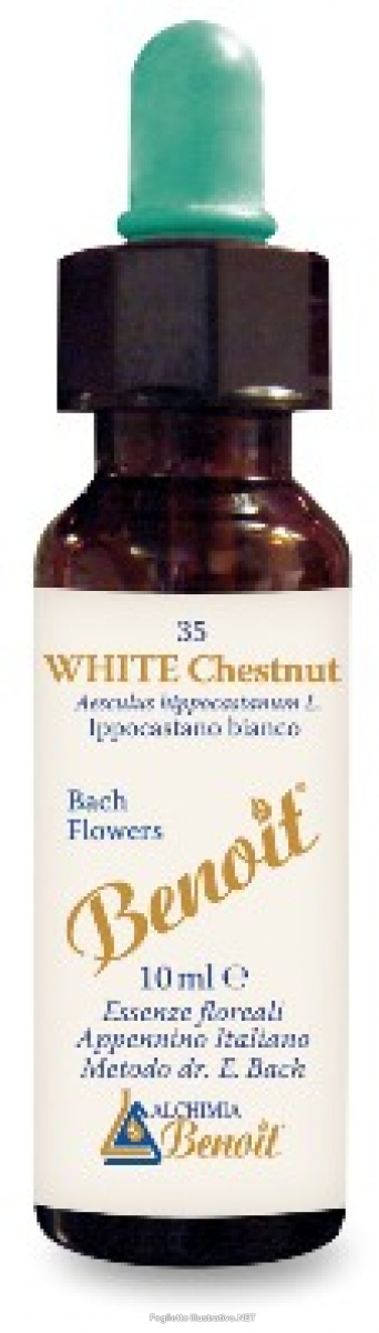 Trova Offerte di benoit fiori di bach white che e compra online