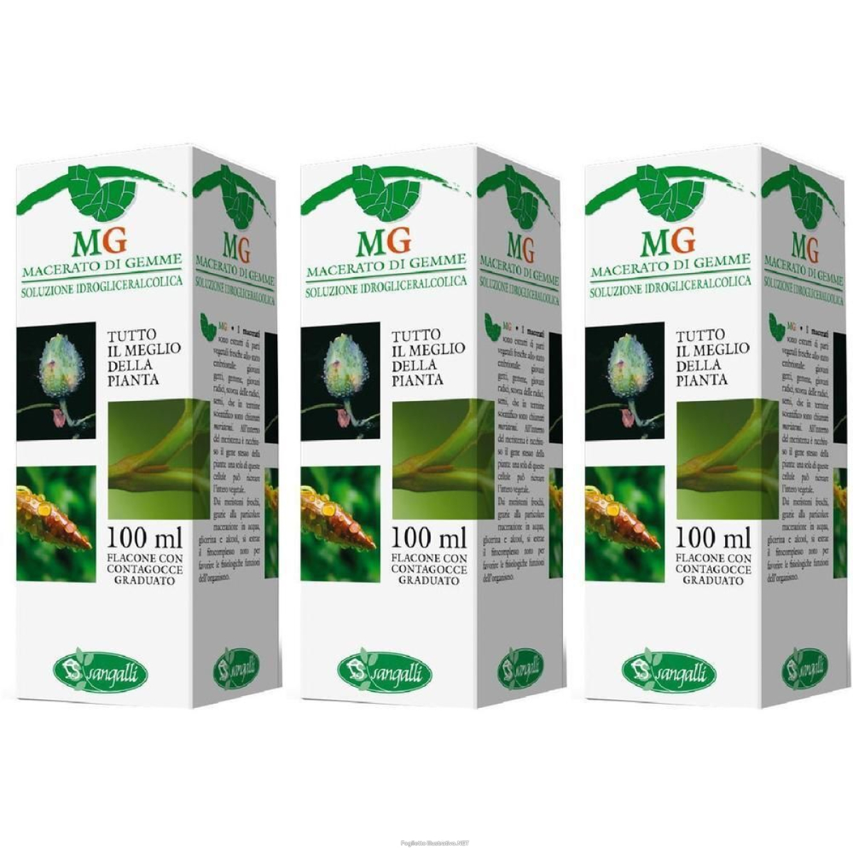 Trova Offerte di betula pubescens macerato glicerico 100 ml 3x100 ml gocce orali e compra online