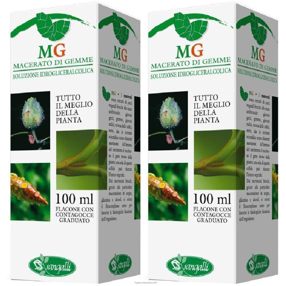 Trova Offerte di betula verrucosa macerato glicerico 100 ml ml gocce orali e compra online