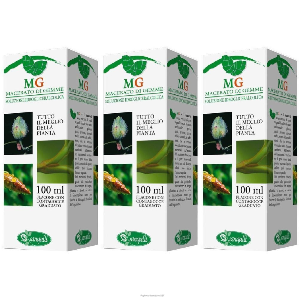 Trova Offerte di betula verrucosa macerato glicerico 100 ml ml gocce orali e compra online