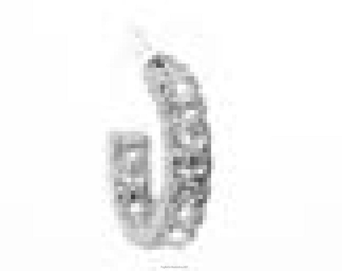 Trova Offerte di bjt307 orecchini benoite stainless steel e compra online