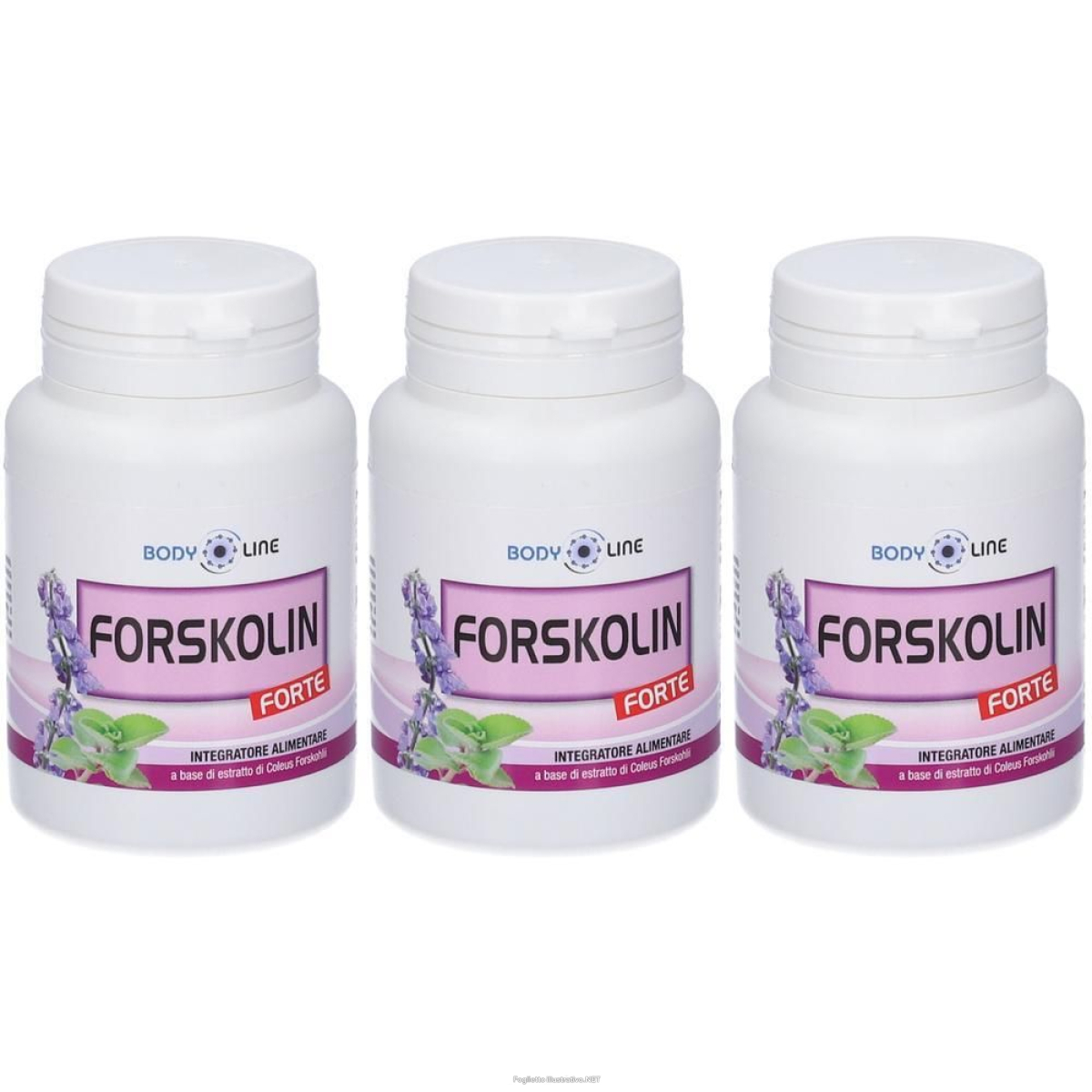 Trova Offerte di bodyline forskolin forte 3x29,7 g capsule e compra online