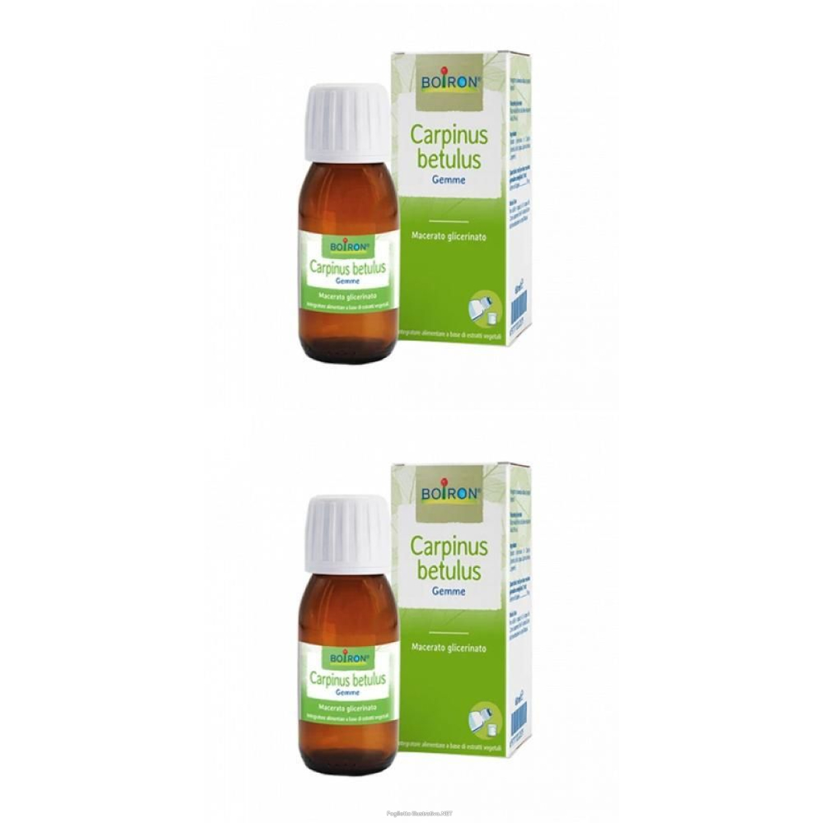 Trova Offerte di boiron® carpinus betulus - gemme 2x60 ml soluzione orale e compra online
