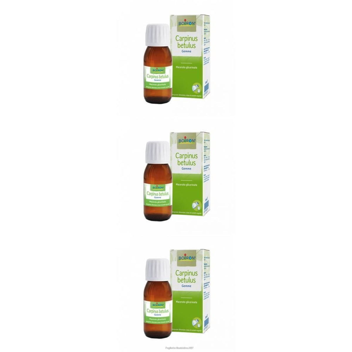 Trova Offerte di boiron® carpinus betulus - gemme 3x60 ml soluzione orale e compra online