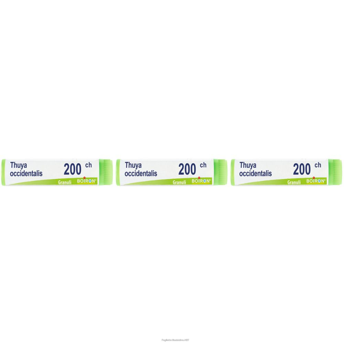 Trova Offerte di boiron® thuya occidentalis 200ch monodose set da 3 3x1 g globuli e compra online