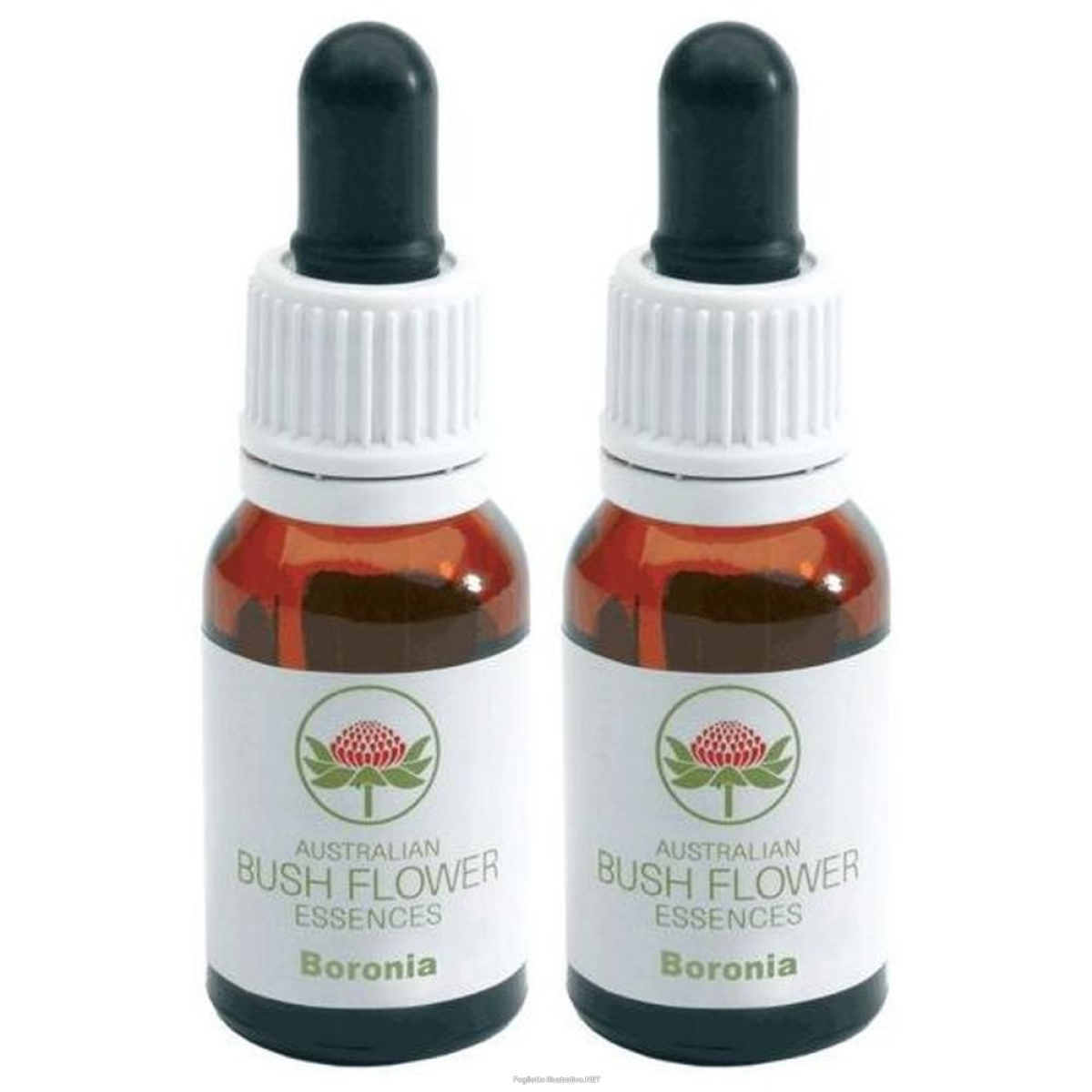 Trova Offerte di boronia gocce 15 ml ml orali e compra online