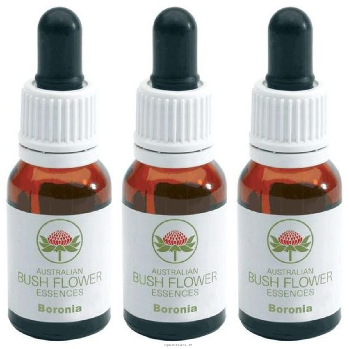 Trova Offerte di boronia gocce 15 ml ml orali e compra online