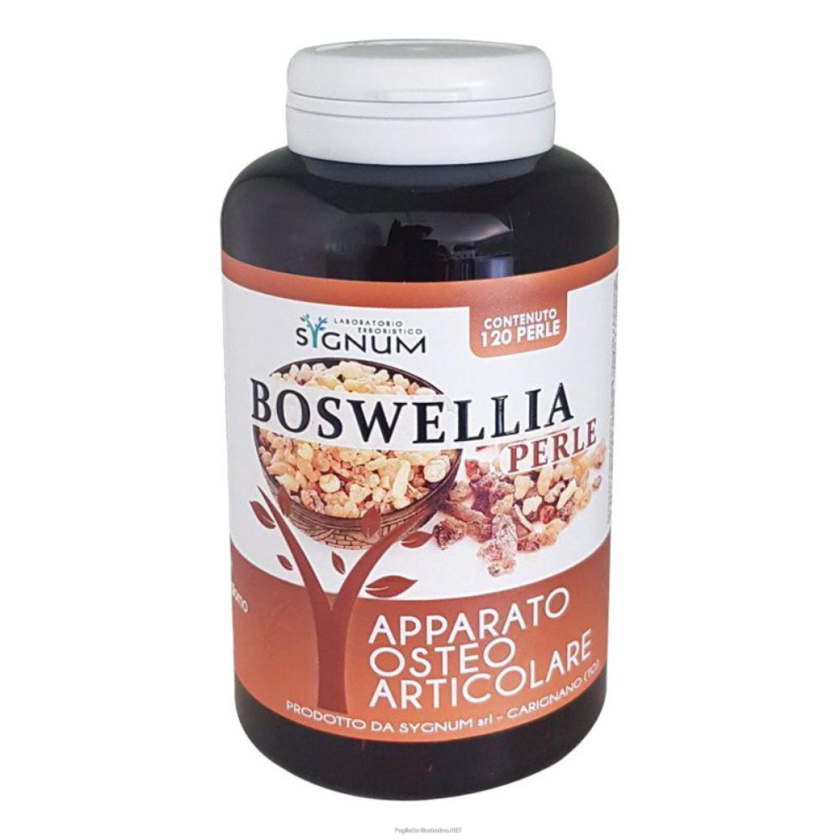 Trova Offerte di boswellia 120 perle e compra online