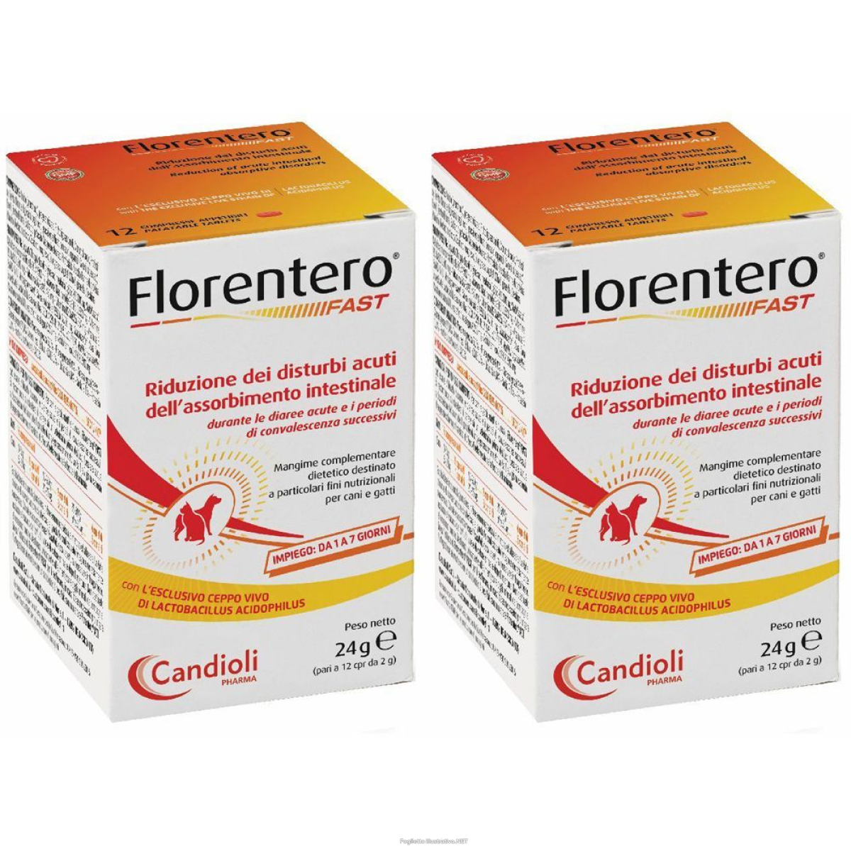 Cerca Prezzi di candioli pharme florentero fast compresse per cani e gatti set da 2 2x e acquista online