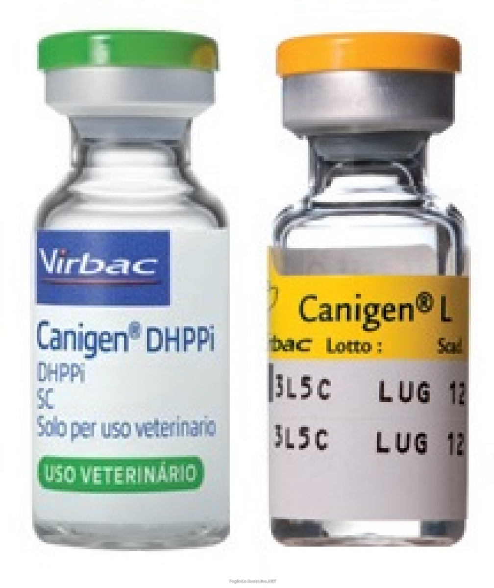 Вакцина для собак каниген