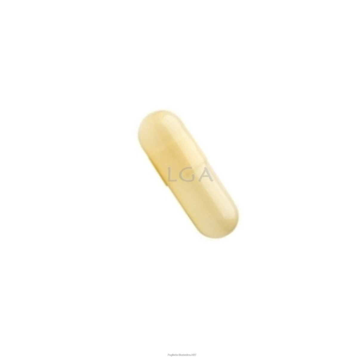Cerca Prezzi di capsule vuote misura 5 avorio lga 5000 pezzi e acquista online