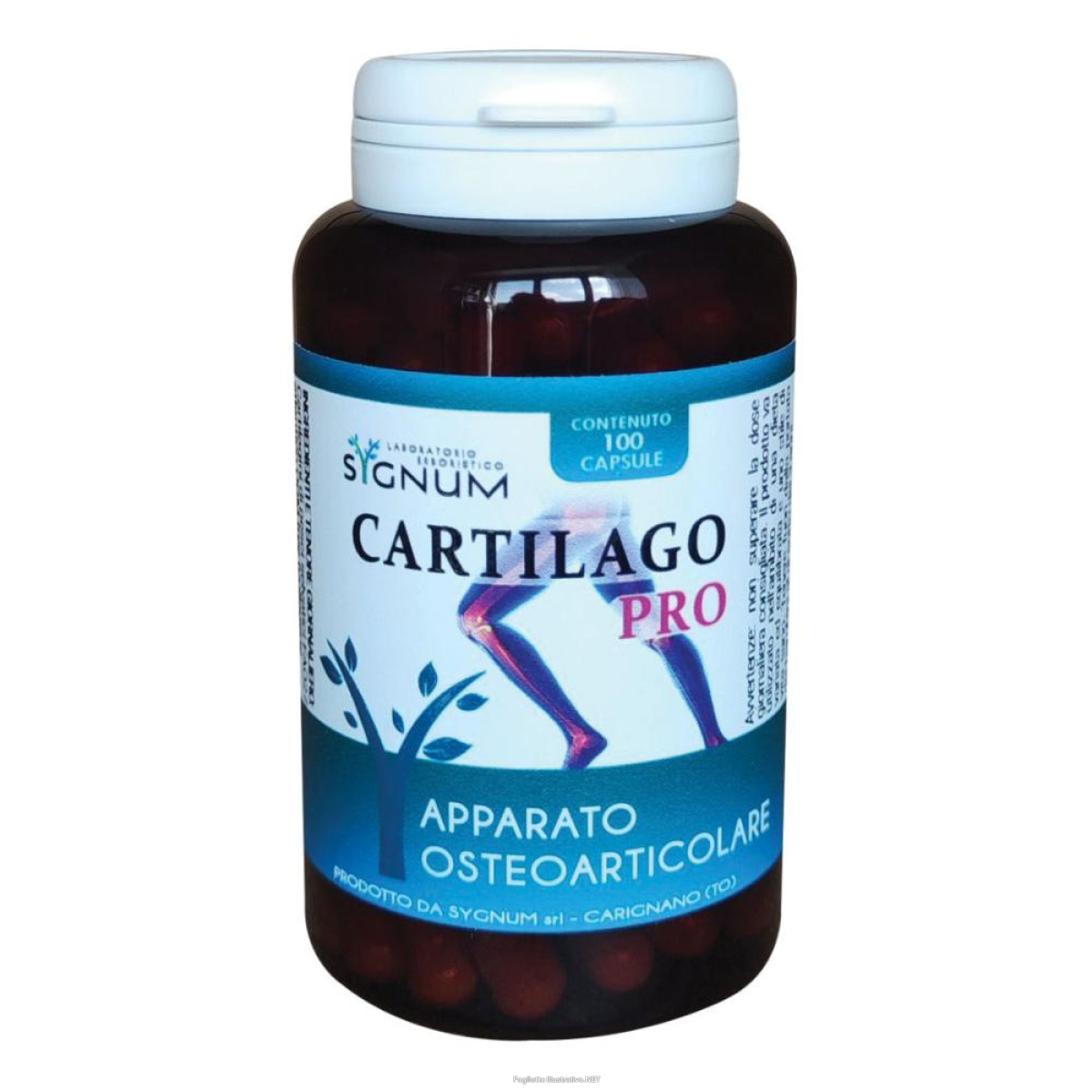 Cerca Prezzi di cartilago pro 100 capsule e acquista online