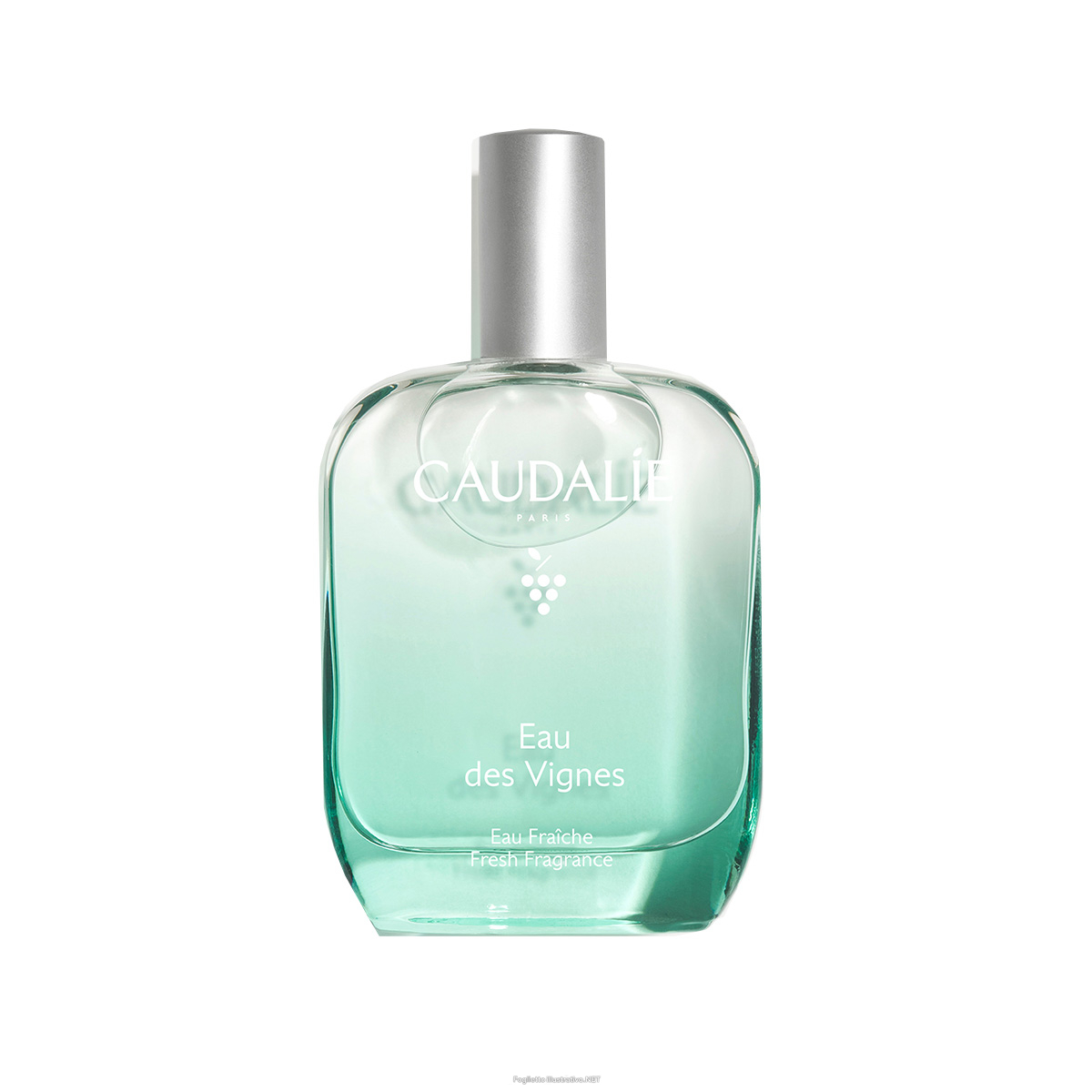 Cerca Prezzi di caudalie acqua profumata eau des vignes - profumo fresco ed elegante - 50 ml e acquista online