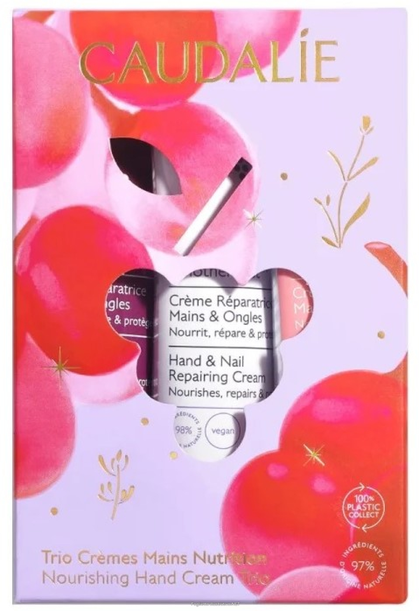 Cerca Prezzi di caudalie cofanetto di natale 2025 trio crema mani - vinotherapist crema mani + the des vignes crema mani + rose des vignes crema mani e acquista online
